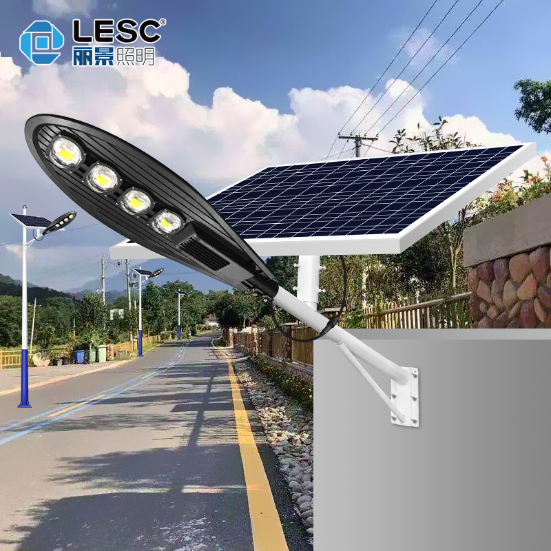 LED太陽(yáng)能路燈-寶劍